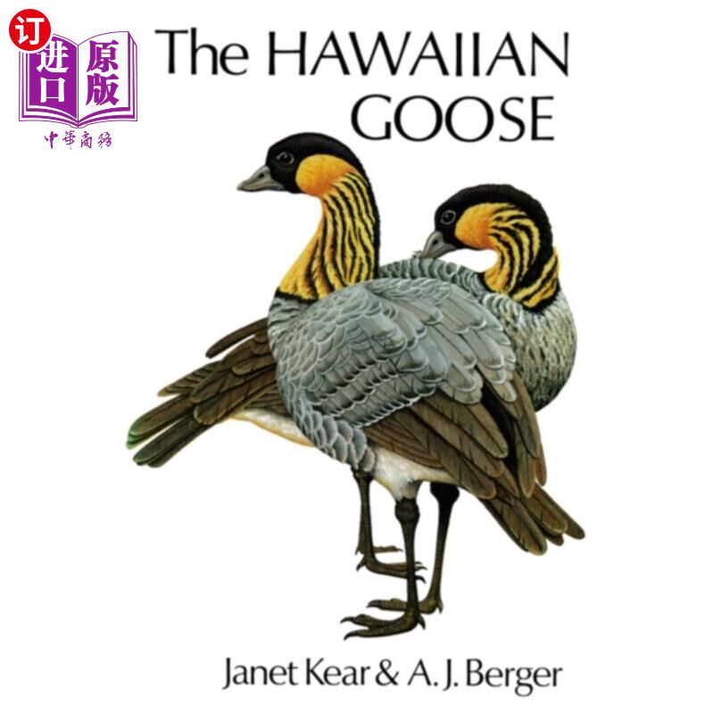 海外直订hawaiian goose 夏威夷鹅