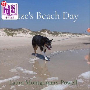 Day Beach 布雷兹海滩日 海外直订Blaze