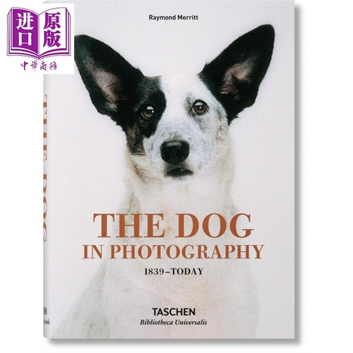 The Dog in Photography 1839–Today 进口艺术 动物摄影 照片中的狗【中商原版】