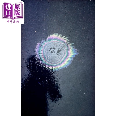 恩斯特哈斯：摘要ErnstHaas