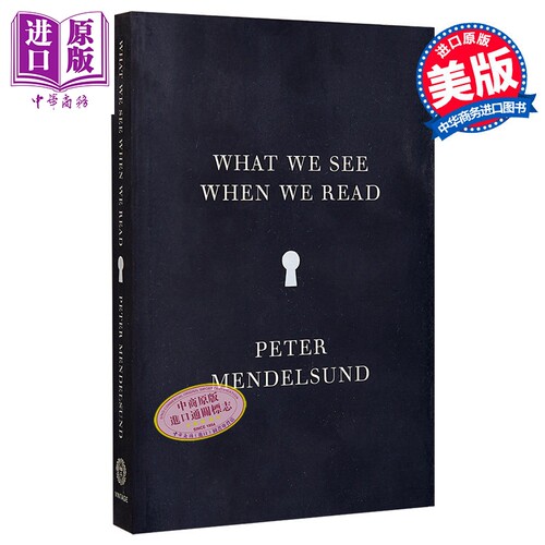 当我们阅读时 我们看到了什么 英文原版 中文版可选 What We See When We Read Peter Mendelsund【中商原版】