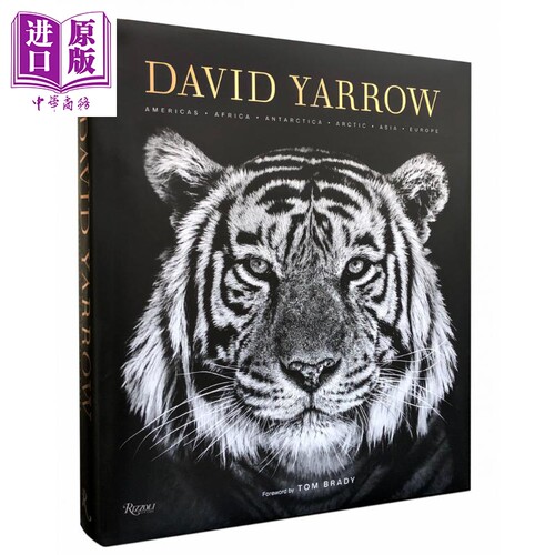 动物摄影 动物摄影师大卫亚罗作品集 进口艺术 David Yarrow Photography Rizzoli【中商原版】