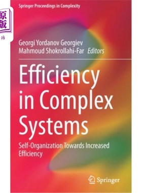 海外直订Efficiency in Complex Systems: Self-Organization Towards Increased Efficiency 复杂系统的效率:自组织提高效率