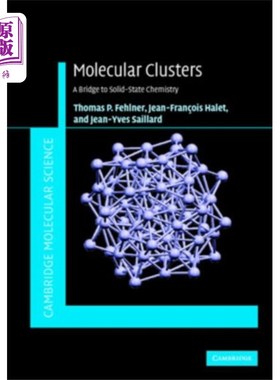 海外直订Molecular Clusters 分子簇