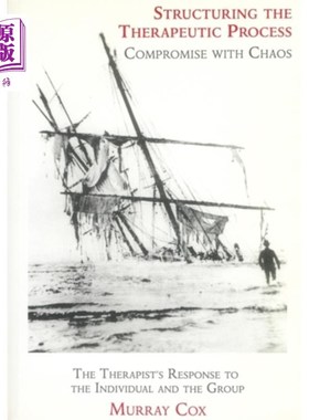 海外直订医药图书Structuring the Therapeutic Process 构建治疗过程