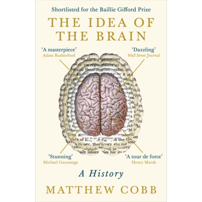 预售马修科布大脑传大脑的想法