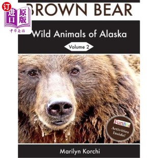 Bear 棕熊 Alaska Brown 阿拉斯加 海外直订Wild 野生动物 Animals