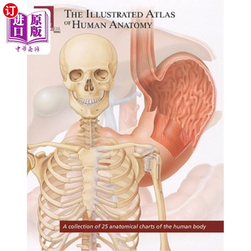 海外直订医药图书The Illustrated Atlas of Human Anatomy: A Collection of 25 Anatomical Charts of  人体解剖学图集:25