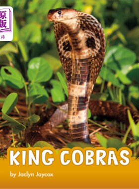 海外直订King Cobras 国王获得报酬