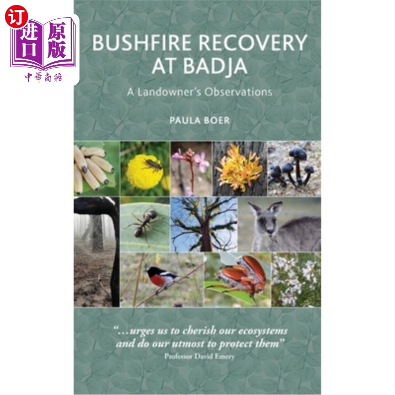 海外直订Bushfire Recovery at Badja: A Landowner's Observations 巴德贾的丛林大火恢复:一个地主的观察