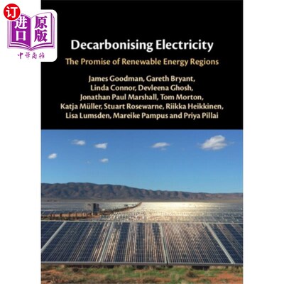 海外直订Decarbonising Electricity 脱碳,电