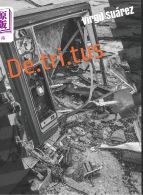 海外直订Detritus 碎屑