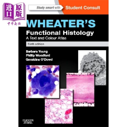 Wheater功能组织学第6版英文原版