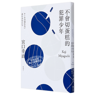 不会切蛋糕的犯罪少年 港台原版 宫口幸治 远流 社会议题 日本热销破50万本【中商原版】