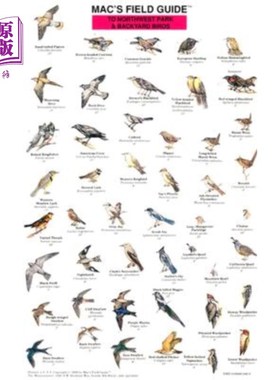 海外直订Mac's Field Guides: Northwest Park & Backyard Birds 西北公园和后院的鸟