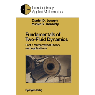 现货 2流体力学基础 第1版 Fundamentals of Two-Fluid Dynamics 英文原版 Daniel D Joseph Yuriko Y Renardy【中商原版】
