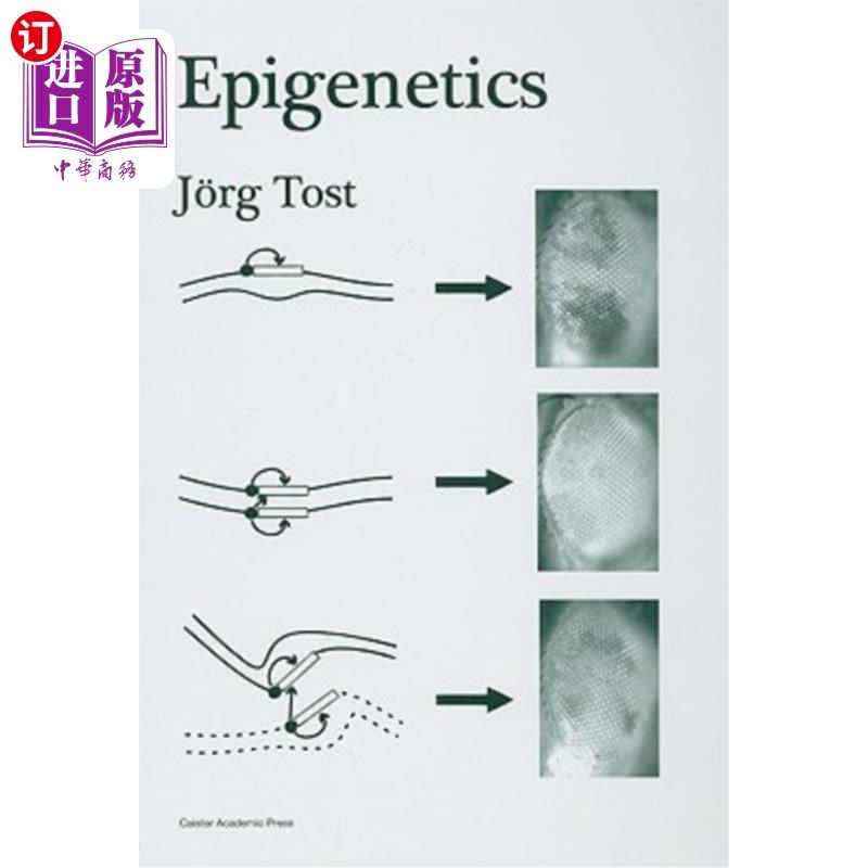 海外直订Epigenetics 表观遗传学