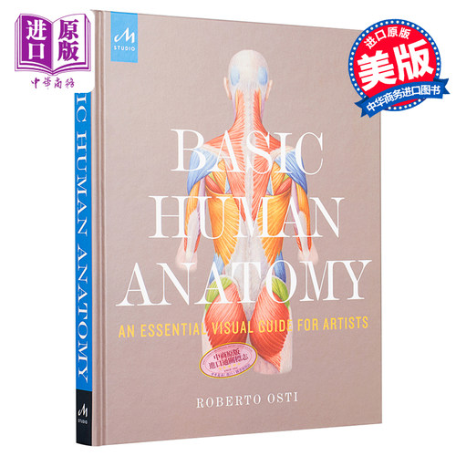 Basic Human Anatomy 英文原版人体解剖基础 Roberto Osti【中商原版】