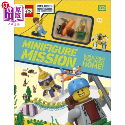 海外乐高LEGO小人仔拼搭