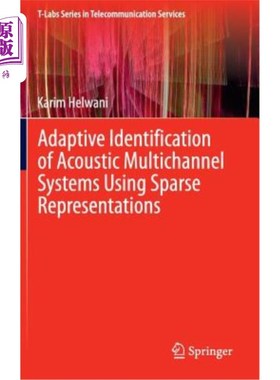 海外直订Adaptive Identification of Acoustic Multichannel Systems Using Sparse Representa 基于稀疏表示的声学多通道系