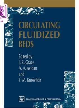 海外直订Circulating Fluidized Beds 循环流化床