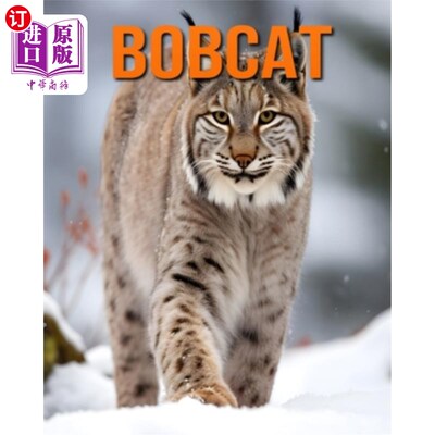 海外直订Bobcat: Fun and Fascinating Facts and Pictures About Bobcat 山猫：关于山猫的有趣和迷人的事实和图片