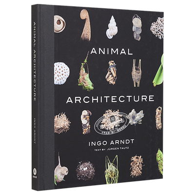 animalarchitecture动物