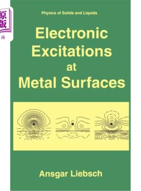 海外直订Electronic Excitations at Metal Surfaces 金属表面的电子激发