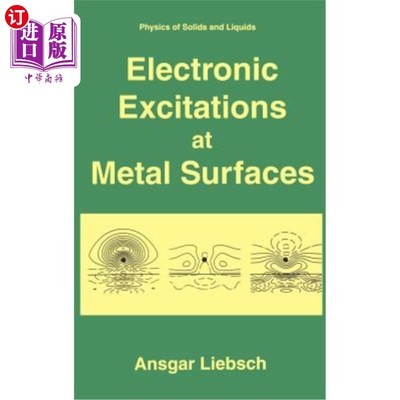 海外直订Electronic Excitations at Metal Surfaces 金属表面的电子激发