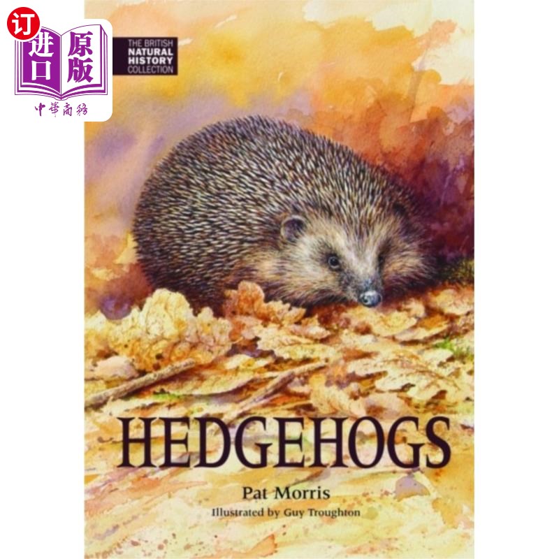 海外直订Hedgehogs 刺猬