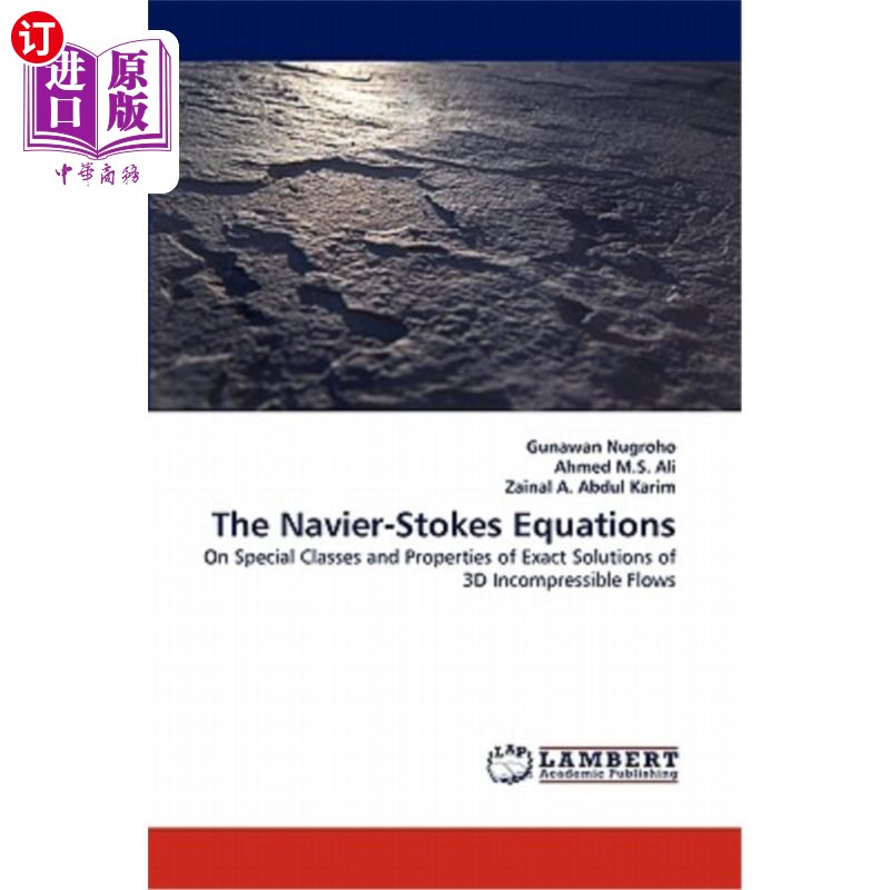 海外直订The Navier-Stokes Equations navier- stokes方程