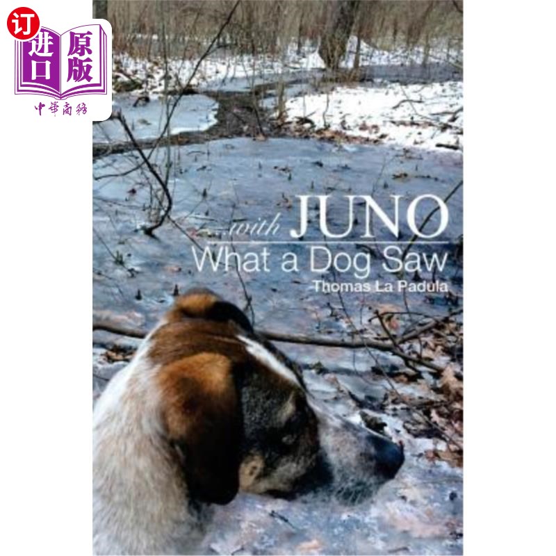 海外直订...with Juno: What a Dog Saw …和朱诺：狗看到了什么