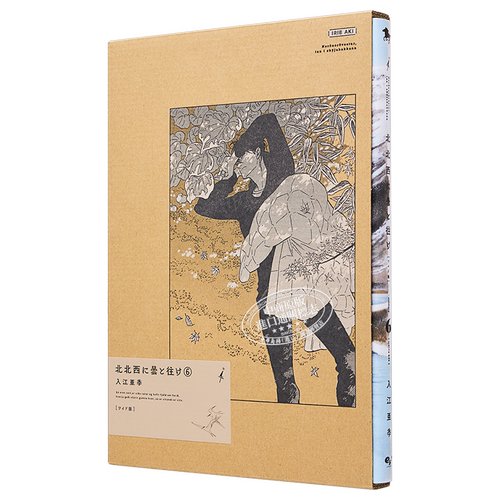 现货漫画偕云前往北北西wide版6 入江亚季KADOKAWA 北北西に曇と往け