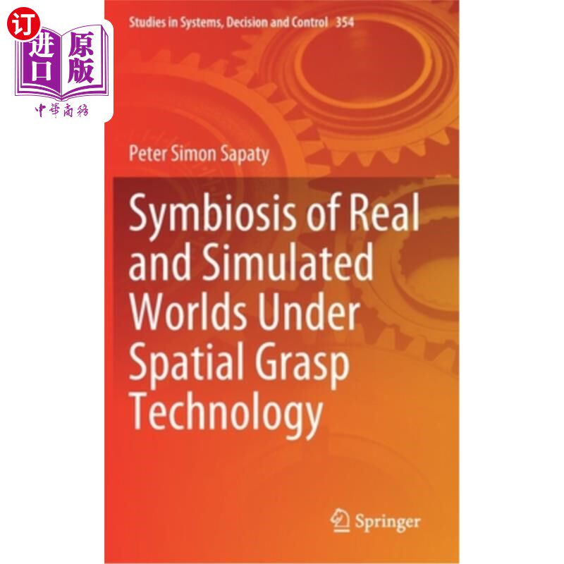 海外直订Symbiosis of Real and Simulated Worlds Under Spatial Grasp Technology 空间把握技术下真实与模拟世界的共生