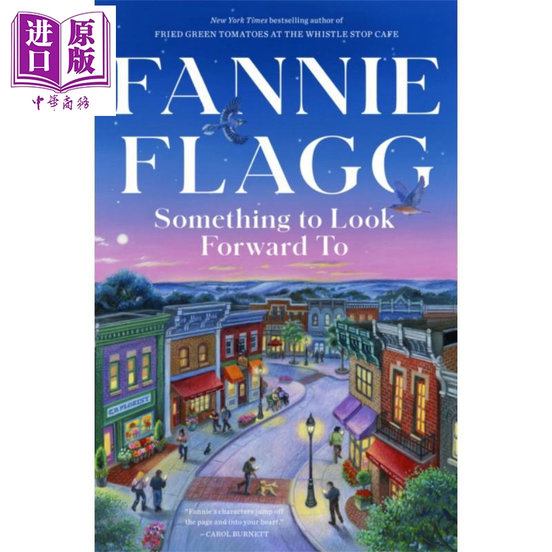 值得期待的事  美国人巧妙应对生活中遇到难题 Something to Look Forward To 英文原版 Fannie Flagg【中商原版】