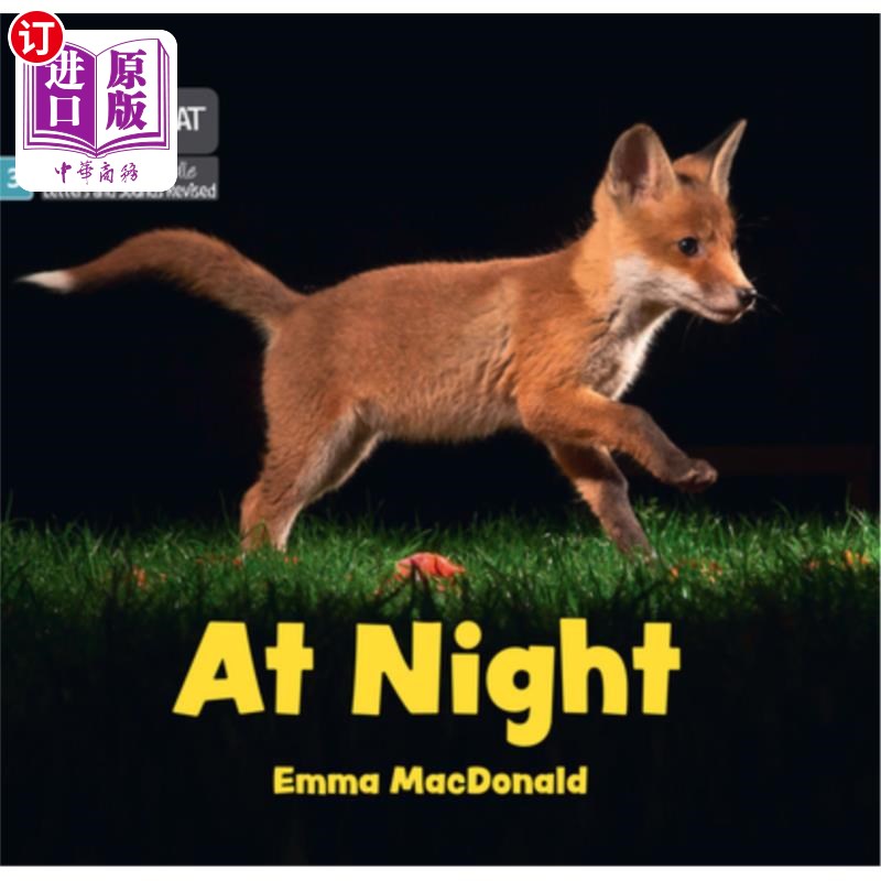 海外直订At Night: Phase 3 Set 1 Blending Practice 晚上：第3阶段第1组混合练习