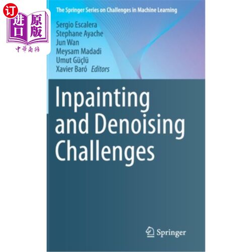 海外直订Inpainting and Denoising Challenges 油漆和去噪的挑战