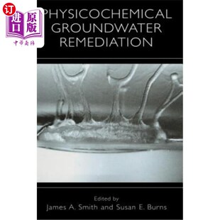 物理化学地下水修复 Remediation 海外直订Physicochemical Groundwater