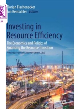 海外直订Investing in Resource Efficiency: The Economics and Politics of Financing the Re 资源效率投资：资源转型融资