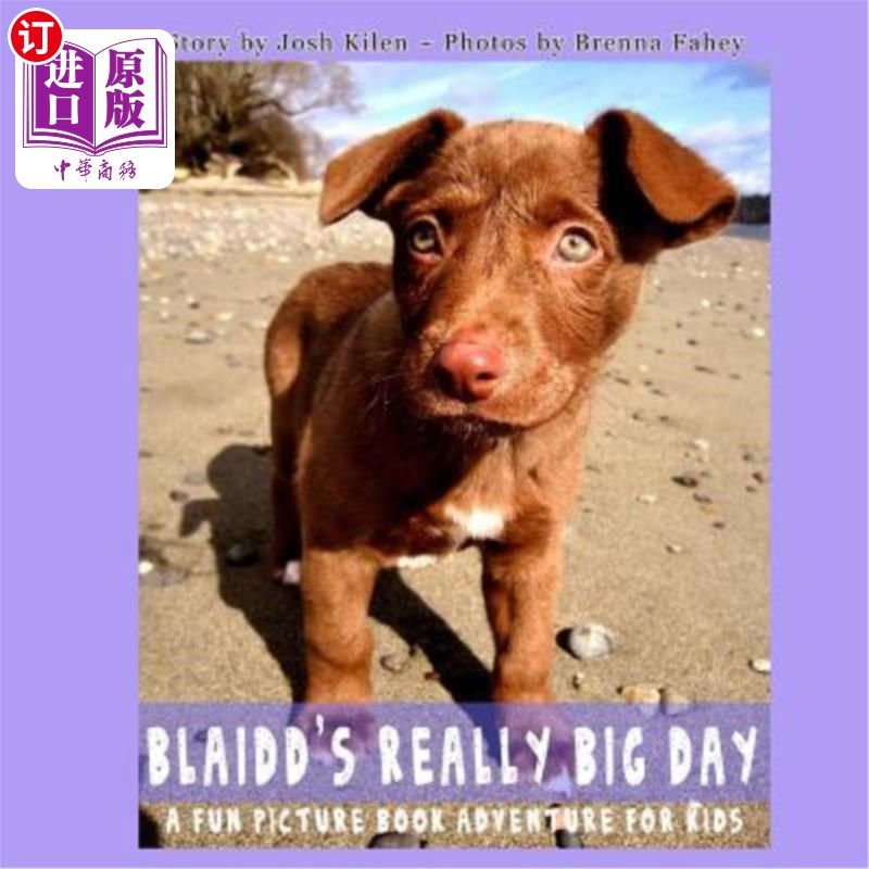 海外直订Blaidd's Really Big Day: A Fun Picture Book Adventure 布莱德的大日子：有趣的图画书冒险