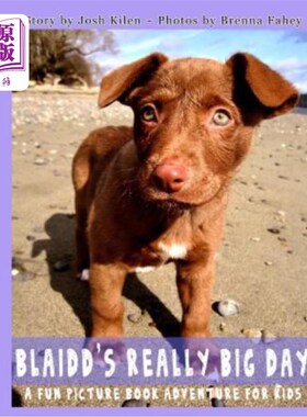海外直订Blaidd's Really Big Day: A Fun Picture Book Adventure 布莱德的大日子：有趣的图画书冒险