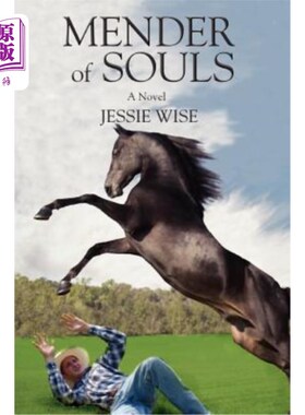 海外直订Mender of Souls 灵魂的修补者