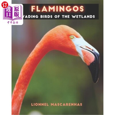 海外直订Flamingos: Wading birds of the wetlands 火烈鸟：湿地的涉禽