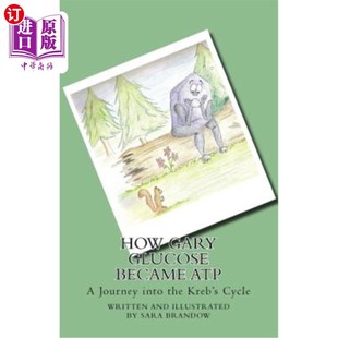 Kreb Cycle Became Journey into Glucose ATP 海外直订How the Gary