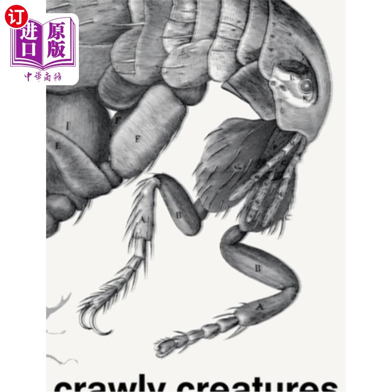 海外直订Crawly Creatures: Depiction and Appreciation of Insects and Other Critters in Ar爬行生物:昆虫和其他生物在