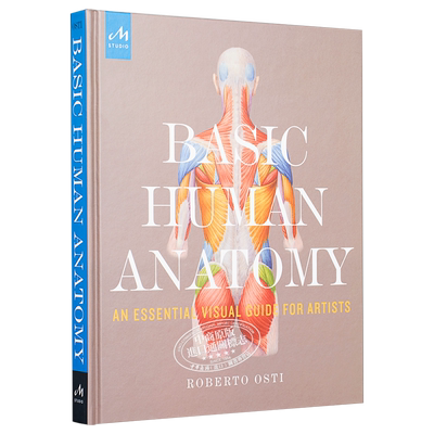 Basic Human Anatomy 英文原版人体解剖基础 Roberto Osti【中商原版】