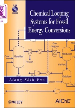 海外直订Chemical Looping Systems for Fossil Energy Conve... 化石能源转换化学回路系统