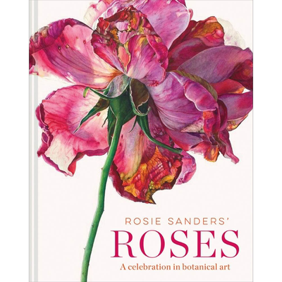 罗西·桑德斯的玫瑰  进口艺术 Rosie Sanders' Roses 手绘画 花卉植物艺术素描草图插画【中商原版】