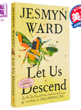 杰丝米妮 瓦德 让我们下降 英文原版 Let Us Descend Jesmyn Ward 流行小说 现当代文学作品【中商原版】