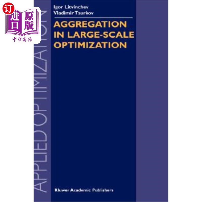 海外直订Aggregation in Large-Scale Optimization 大规模优化中的聚集